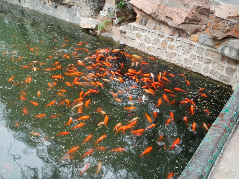 2012 China 317.jpg